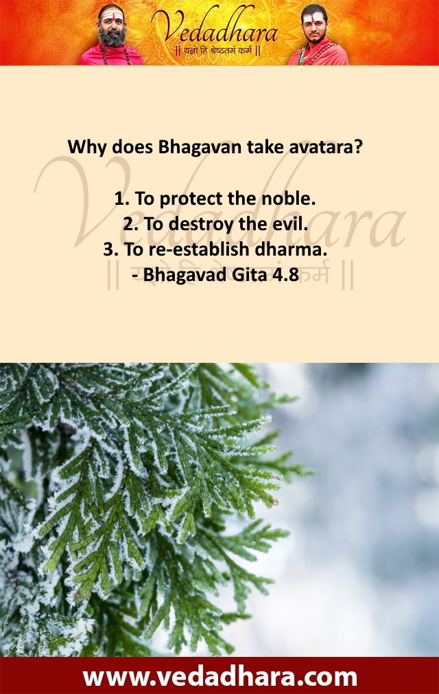 Why does Bhagavan take avatara? 1. To protect the noble. 2. To destroy the evil. 3. To re-establish dharma. - Bhagavad Gita 4.8